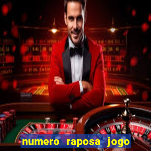 numero raposa jogo do bicho